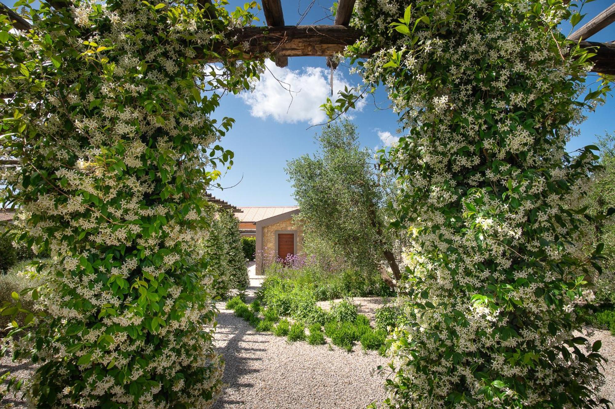 Agriturismo Resort Il Foionco Massa Marittima Kültér fotó